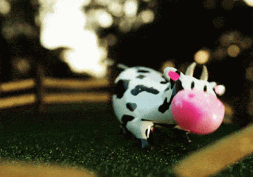 Cow Roll Over GIF - Cow Roll Over Smiling GIFs