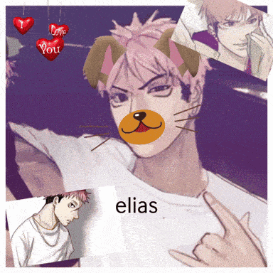 a picture of a man with a cat mask and the name elias on the bottom