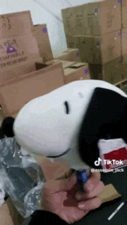 a person is holding a stuffed snoopy in front of a stack of boxes