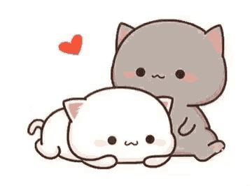 a couple of cats laying next to each other on a white background with a heart in the background .