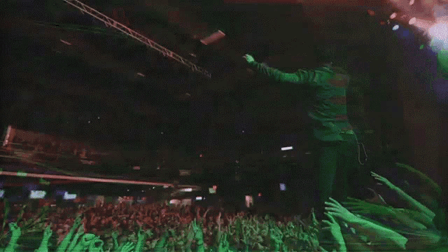 Crowd Audience GIF - Crowd Audience Playing GIFs