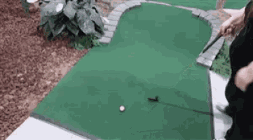 a person is playing a game of mini golf on a green field .