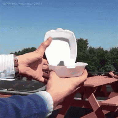 a person is holding a styrofoam container that looks like a container of ice cream