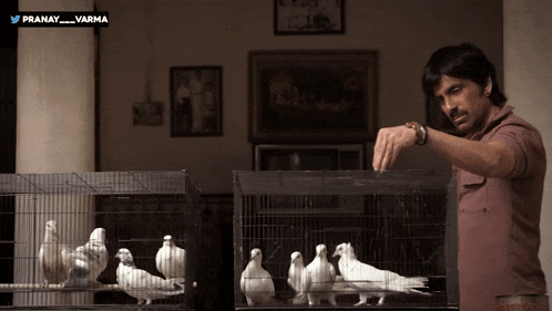 a man is petting a bird in a cage that says pranay varma on the bottom