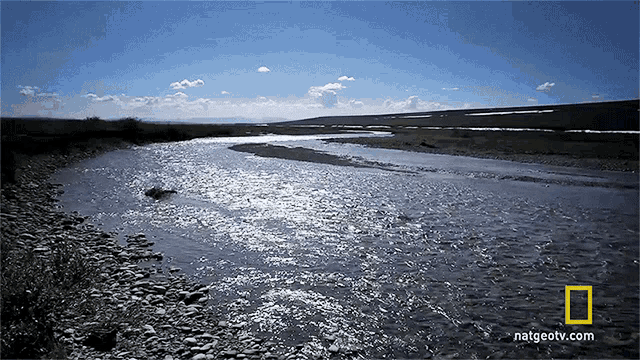Running River Thaw Project GIF - Running River Thaw Project Life Below Zero GIFs