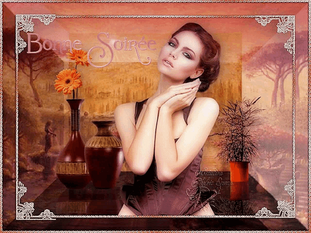 a picture of a woman with the words bonne soiree written on it