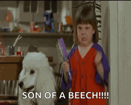 a little girl is standing next to a white poodle with the words son of a beech written below her