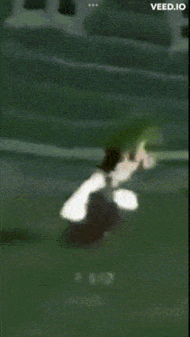 a screenshot of a video that says ' veed.io ' at the top