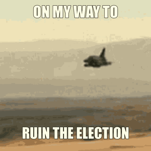 Election Day GIF - Election Day GIFs