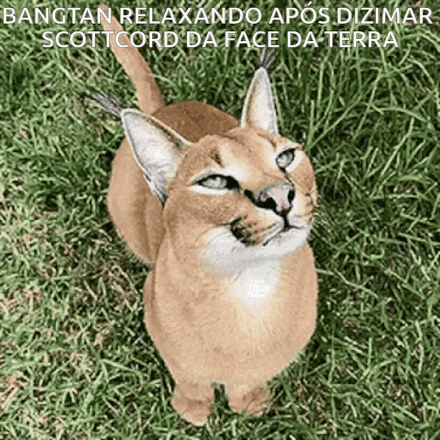 Floppa Bangtan GIF - Floppa Bangtan Tatara GIFs
