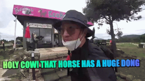 Cooksux Horse GIF - Cooksux Horse Dong GIFs