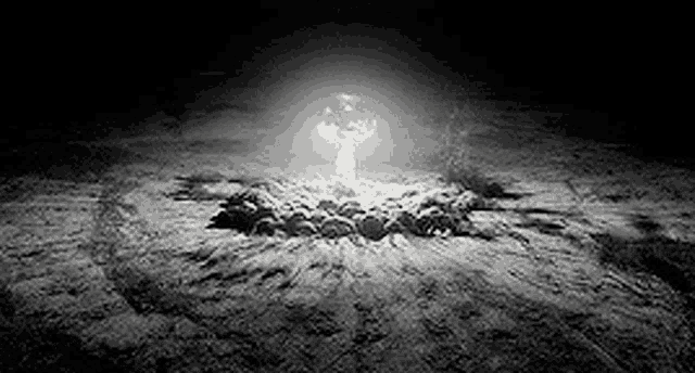 a black and white photo of a nuclear explosion in a field .