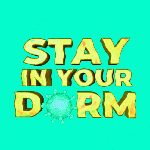 Stay In Your Dorm Dorm GIF - Stay In Your Dorm Dorm Dorm Room GIFs