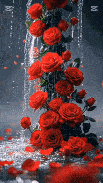 a bunch of red roses are surrounded by water and petals