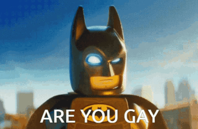 a lego batman says are you gay in front of a city