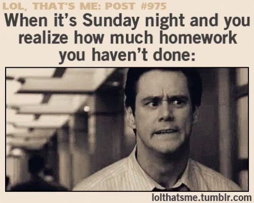 Sunday Night Homework GIF - Sunday Night Homework Shookt GIFs