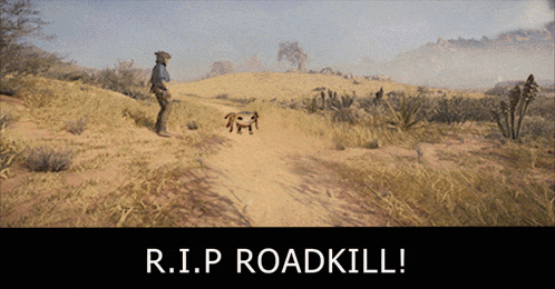 a picture of a desert with the words r.i.p roadkill on the bottom