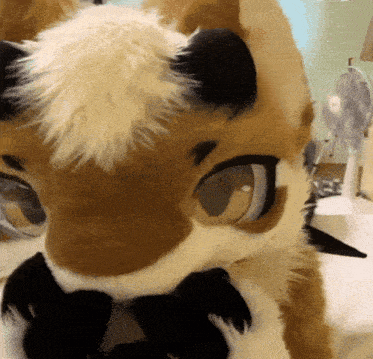 a close up of a furry animal with a fan in the background .