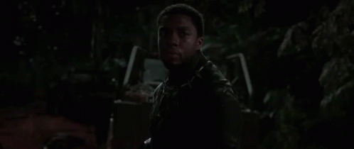 Black Panther Wakanda GIF - Black Panther Wakanda Marvel GIFs