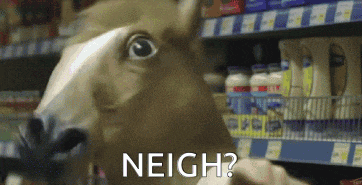 a horse head with the words neigh written on it