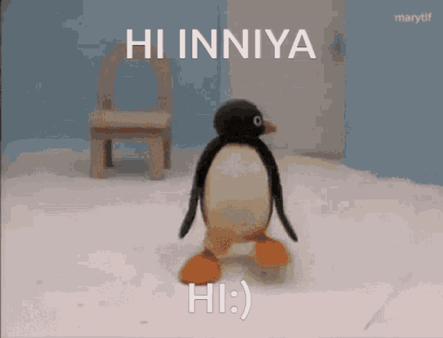 a stuffed penguin says hi inniya hi