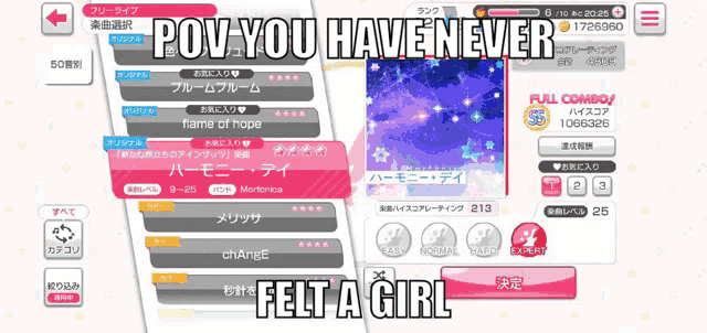 a screenshot of a video game with the words " pov you haven ever felt a girl "