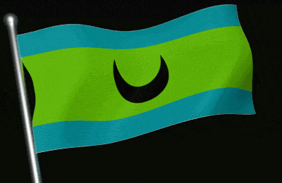 a green and blue flag with a black crescent moon in the middle