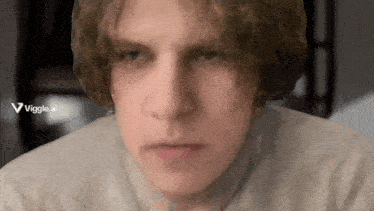 a close up of a man 's face with a viggle.ai watermark
