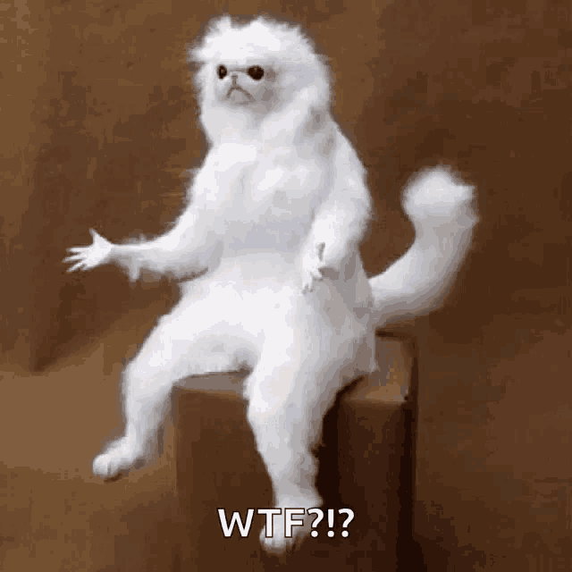 a stuffed white cat is sitting on a box and making a wtf gesture .