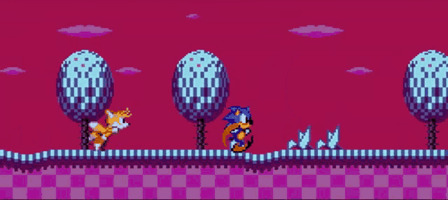 sonic the hedgehog and tails the fox are in a video game