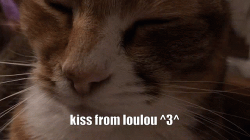 Kiss From Loulou GIF - Kiss From Loulou GIFs