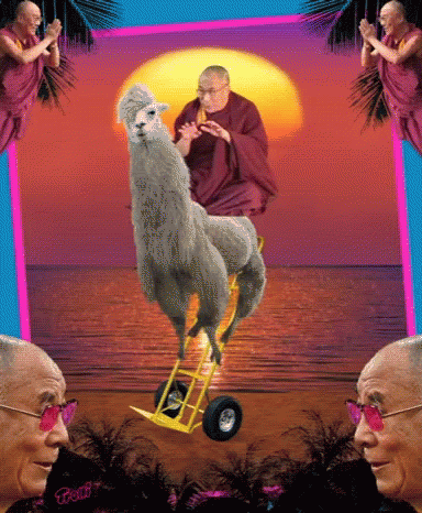 Dali Dalai Lama GIF - Dali Dalai Lama Llama GIFs