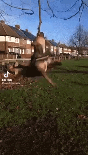 Clechois Swinging Dog GIF - Clechois Swinging Dog Tiktok Dog GIFs