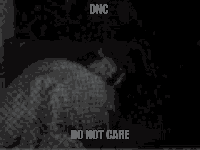 Dnc Do Not Care GIF - Dnc Do Not Care Sleeping GIFs