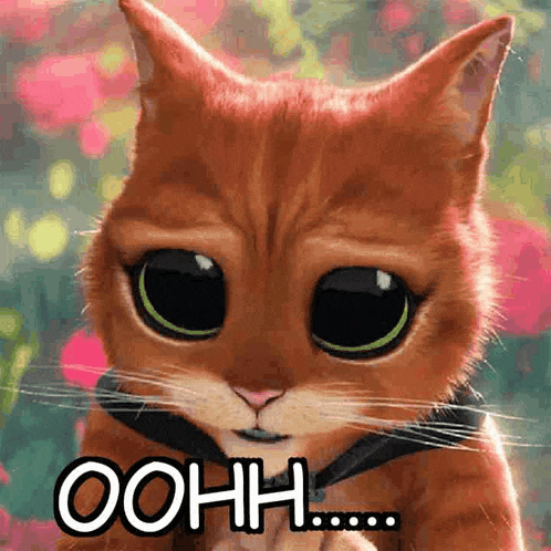 a cat with big eyes and the word oohh written on it