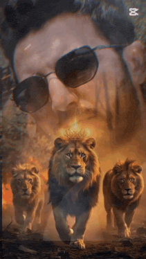 a man wearing sunglasses is surrounded by three lion cubs