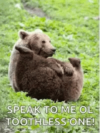Bear Speak To Me GIF - Bear Speak To Me Fart GIFs