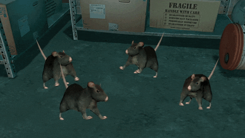 a group of rats are standing in front of a fragile box