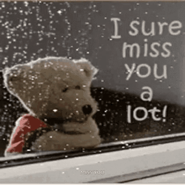 a teddy bear is sitting in front of a window with a sign that says `` i sure miss you a lot ! ''