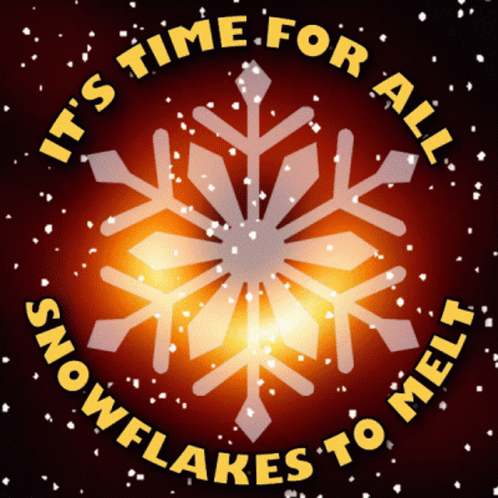 Snowflake Snowflakes GIF - Snowflake Snowflakes Offended GIFs