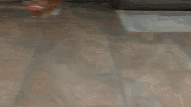 an orange and white cat is playing with a red ball