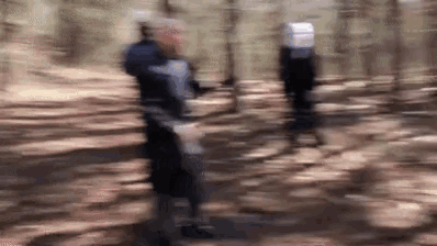 a blurry picture of a person walking through a forest