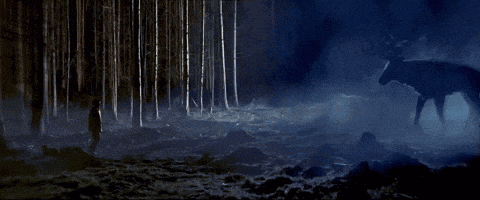 a man stands in the woods looking at a horse in the fog