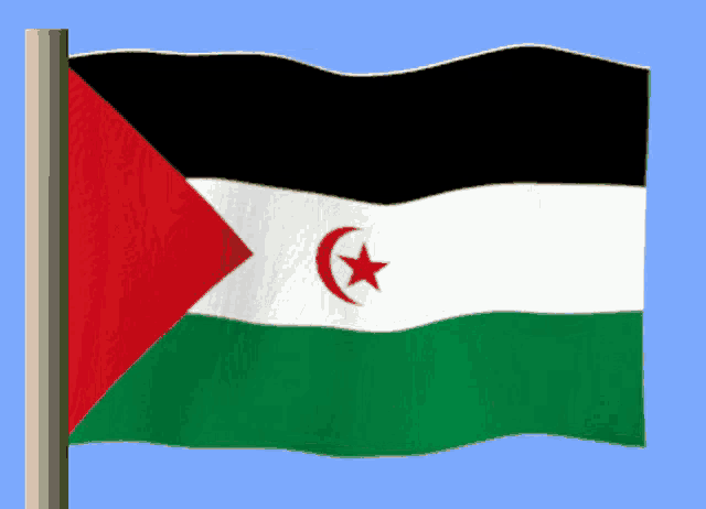 a green white and black flag with a red star and crescent moon
