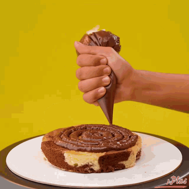 a person is frosting a cake with a bag of chocolate