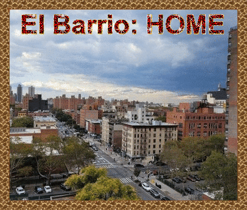 El Barrio Home GIF - El Barrio Home Nyc GIFs
