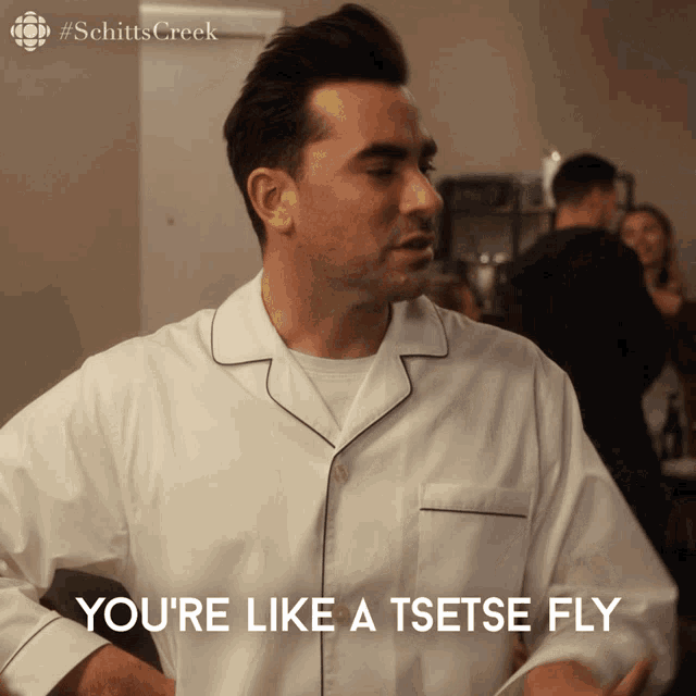 a man in pajamas says you 're like a tsetse fly