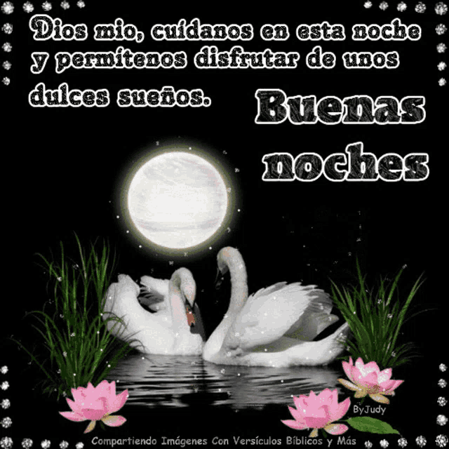 a picture of two swans in the water with the words buenas noches