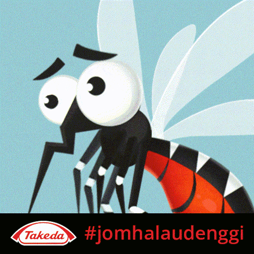 Knowdengue Denguemania GIF - Knowdengue Denguemania Mosquito GIFs