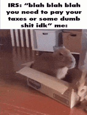 a cat is sitting in a cardboard box with the words irs blah blah blah